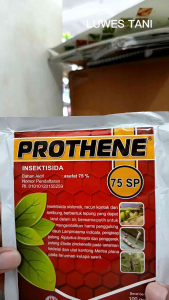 Prothene 75 SP 100gram