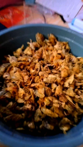 Udang Crispy yang di balut tepung beras anti bau amis