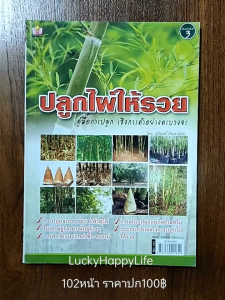 หนังสือเกษตร ปลูกไผ่ให้รวย คู่มือการปลูกไผ่ เชิงการค้าอย่างครบวงจร ปก100 ไผ่ตง ไผ่เลี้ยง ไผ่หวาน ไผ่รวก ไผ่กิมซุง ไผ่ซาง