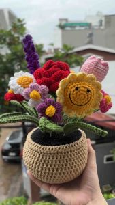 Chậu hoa len mix nhiều bông để bàn