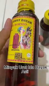 Minyak Urut Dayak Perisai Borneo Atasi Benjolan Nyeri Otot Patah Tulang Reumatik