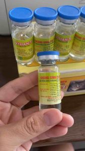 Vidan T (lọ 10ml) năm thái dung dịch tiêm xử lý tiêu chảy kiết lị viêm phổi cho chó mèo