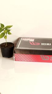 Sepatu Sneakers Casual Pria Wanita Dewasa SP21 Hitam