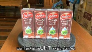 แมกโนเลีย นมยูเอชที รสช็อกโกแลต ขนาด 180 มล. ยกลัง 48 กล่อง