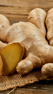 JAHE GAJAH SEGAR 1 KG