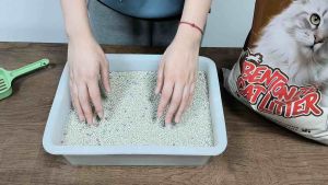 MimiUltra Bentonite Cat Litter Sand 10L