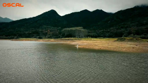 Blackviw oscal tank 1 16/512gb nfc 5G 20000mah anti air