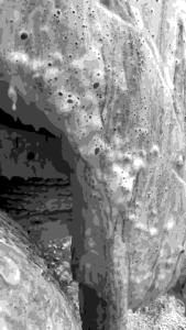 น้ำยาล้างรถไม่ต้องถู MD Clean Car 🔥: ทำให้รถม้วนไม่ต้องซื้อ