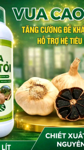 VUA CAO TỎI – Bổ gan kích tiêu hóa diệt khuẩn – Giúp tôm cá mau lớn chắc thịt | Chai 1L