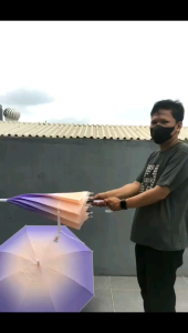 Payung Tongkat Standard motif Gradasi / Transparan Doff / 729