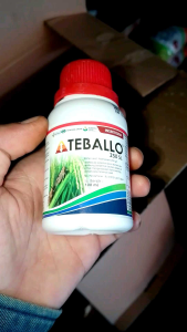 TEBALLO 250 SL 100 ml INSEKTISIDA MENGENDALIKAN HAMA WERENG PADI