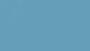 Serum mụn Trần Mao  - chiết xuất từ thảo mộc