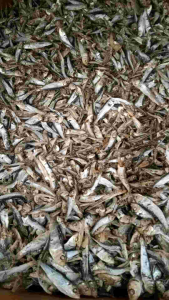 IKAN ASIN TERI LEMET