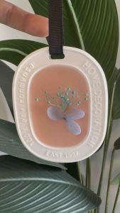 Premium aromatic wardrobe freshener