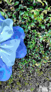 KELOPAK BUNGA DEKORASI PELAMINAN KOMBINASI 2 WARNA/ARTIFICIAL FLOWER/KAP BUNGA DEKORASI/BUNGA HIAS/GIANT FLOWER PREMIUM/BAHAN KAIN ORGANDI ORGANZA