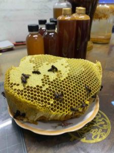 1lit mật ong khoái rừng Tây nguyên