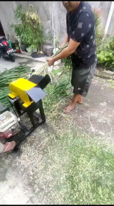MESIN CACAH RUMPUT C30 PRO ( SIAP PAKAI)