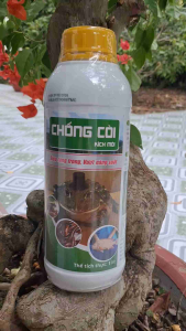 Chống Còi Tăng Trọng Cho Cá Ếch Lươn 1 Lít Kích Ăn Mạnh Giúp Lớn Nhanh Đồng Đều Chắc Thịt Khỏe Mạnh Bổ Sung Protein Canxi Khoáng Chất Axit Amin