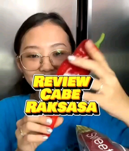 5 BUTIR BIJI/BENIH CABE GIANT ACONCAGUA PAPPER