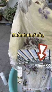 Tẩy trắng tẩy mốc quần áo Biopro Việt Nhật