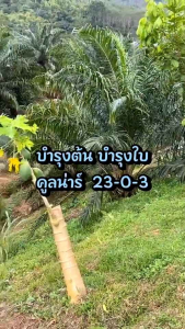 ปุ๋ยอินทรีย์เคมี คลูน่าร์ 22-0-3 +OM12% ปุ๋ย IATเร่งต้น เร่งโต เพิ่มความเขียว บรรจุแบ่งขาย 1 กก.