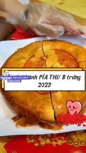 Pía khổng lồ 1kg 8 trứng Tân huê Viên (hộp vai xách)