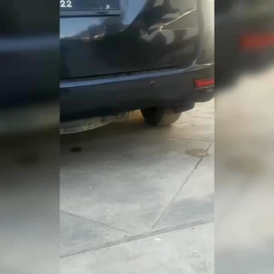 KNALPOT RACING HKS TITAN 1 PAKET DENGAN PEREDAM UNTUK MOBIL BENSIN CARRY AYLA IGNIS MOBILIO CALYA VIOS BRIO DLL