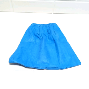 Filter Vacuum WD1 Textile Blue Filter Replacement MV1 WD 1 S