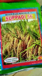 Benih Unggul Hibrida SUPPADI 56 1kg ORI