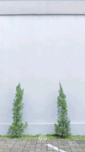 Ifra Gamis Set Ifra dan Khimar dengan Design yang Menarik