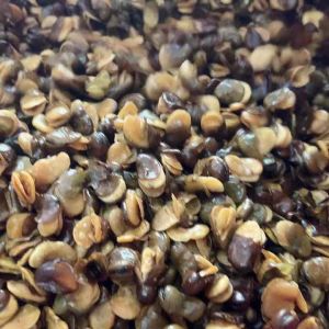 🥜ถั่วปากอ้า🥜โรยเกลือ🧂 น้ำหนัก 500 กรัม กรอบ เค็ม มันทุกเม็ด อร่อย สุดยอด 🤩(ใส่ถุงซิปล็อค) #ปากอ้า