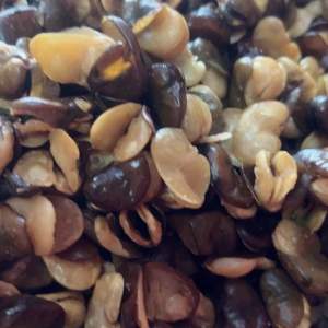 🥜ถั่วปากอ้า 900 กรัม น้ำหนัก รูปแบบ เค็ม มัน อร่อย สุดยอด 1 ถุง แถมขนมถุงเล็ก 🎁 #ปากอ้า