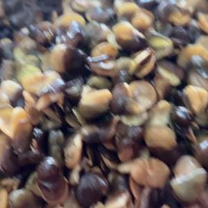 [มีของแถม🎁]🥜ถั่วปากอ้า🥜โรยเกลือ🧂 น้ำหนัก 900 กรัม กรอบ เค็ม มัน อร่อย สูงสำหรับผู้ที่มีรูปร่างเฉพาะสูง👍🏻 (ใส่ถุงซิปล็อค) +สุ่มแถมขนมถุงเล็ก 1 ถุง🎁 #ปากอ้า