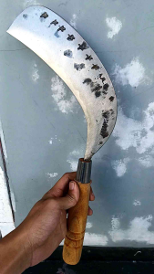 Am19 Penderesan deres sadap kelapa baja isen cp bntng (DGPL)