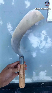 Am19 Superan Sabit penderesan sadap kelapa baja isen lapis 3 jumbo (DGARB)