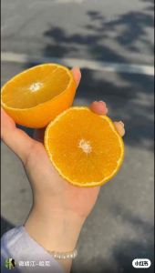 [Fresh Direct] Red Beauty Jelly Orange (4pcs) | Thin Skin Zero Residue Pure Juice Explosion | Sweet Mandarins