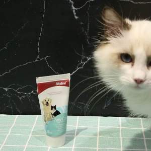 Bioline Paw Balm for Dogs & Cats: 50ml Pet Care Product