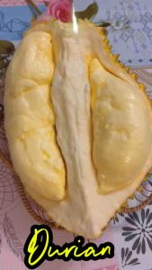 โมเดลทุเรียน ทุเรียนปลอม โมเดลผลไม้ ผลไม้ปลอม (ผ่าเห็นเนื้อ)