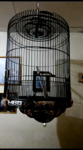 KANDANG PVC MBB