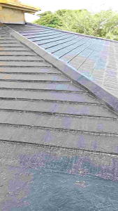 Asphalt emulsion aspal cair anti rembes dan bocor 20kg