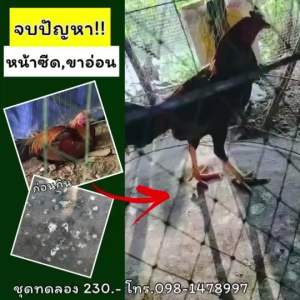 ซุปเปอร์เวย์ 4 กระปุก 1000.- (กระปุกละ 100แคปซูล)