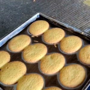 ขนมไข่กรอบ รสทุเรียน ไม่มีน้ำตาล