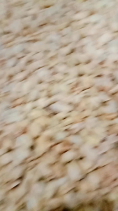 Kacang Bawang goreng renyah dan gurih /1kg