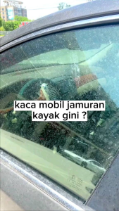RAJS CLINK Cairan Pembersih Jamur kaca dan kerak Body Mobil ampuh Free lap mikrofiber