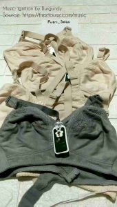1PC BH PLUM 059 ABU ABU SIZE 34-42