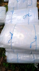 PLASTIK UV 10X4METER 200MICRON