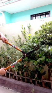 JAPAN HEDGE SHEARS PRUNING GARDENING TOOLS
