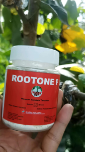 rootone F pertumbuhan akar 100gr