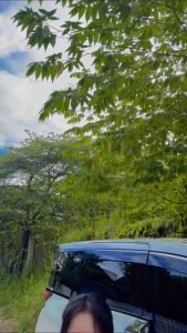 (82) สายสะพาย congratulations ผ้ากำมะหยี่เย็บขอบทอง ใส่ ธนบัตรได้ จำนวน 10 ซอง พร้อมส่งค่ะ ใส่ได้ทุกแบงค์ ของขวัญรับปริญญา