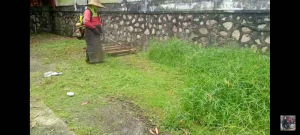 Mesin Potong Rumput 4 Tak GX-35 Mesin HONDA Merk MOLLAR | 3 Mata Pisau